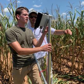 Dr. Robertson (Idaho) trains UK undergrad Howard Gates on how to use the stalk lodging device