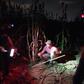 Collecting data at night with the aid of headlamps