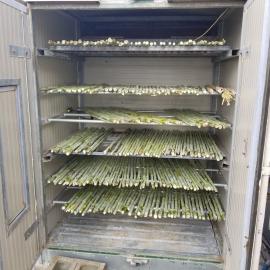 Sorghum stalks drying in a modified tobacco dryer